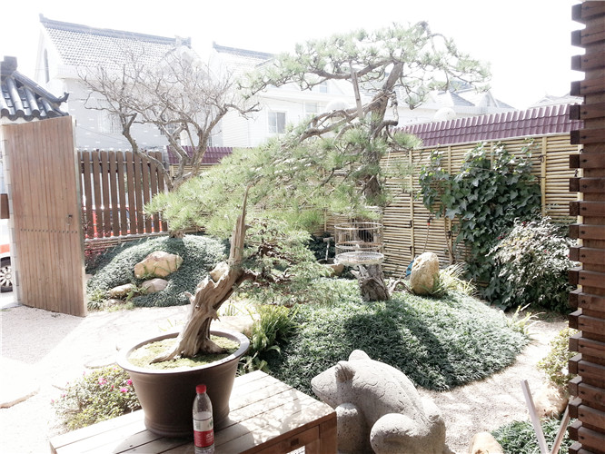 園林綠化養(yǎng)護