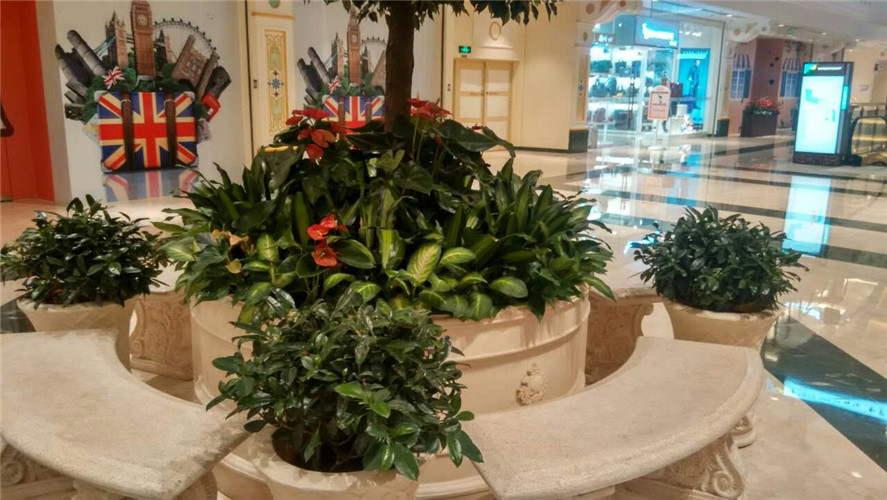 上海環(huán)球港商業(yè)廣場室內(nèi)綠植租擺案例展示