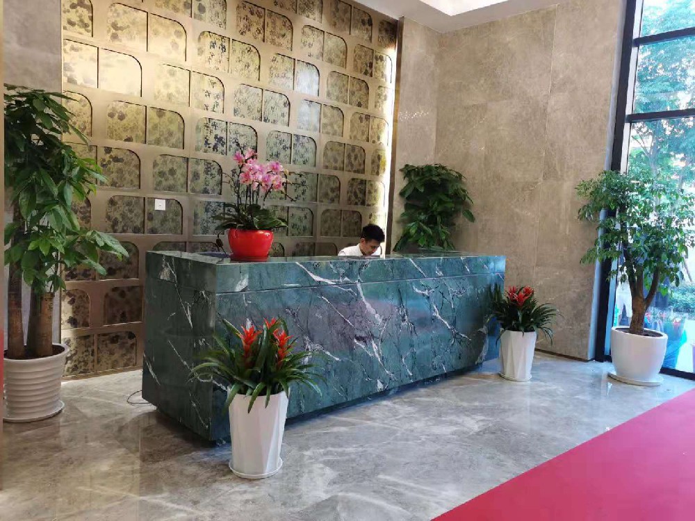 上海莘莊保華房產(chǎn)開發(fā)公司綠植租擺案例展示
