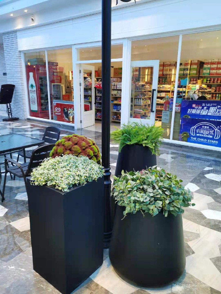 上海智微世紀麗呈酒店室內(nèi)綠植租擺
