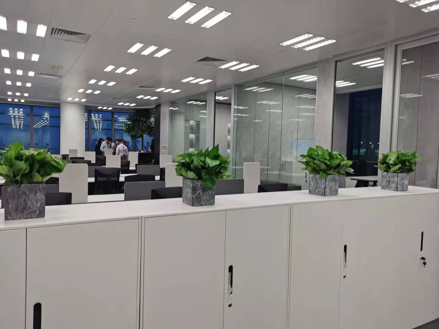 世紀(jì)匯商業(yè)廣場綠植進(jìn)場